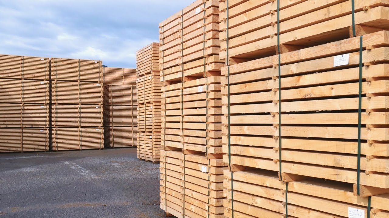 Visita a Ebaki, proyecto global en el campo de la 1º y 2ª transformación de madera | Prisma Forestal