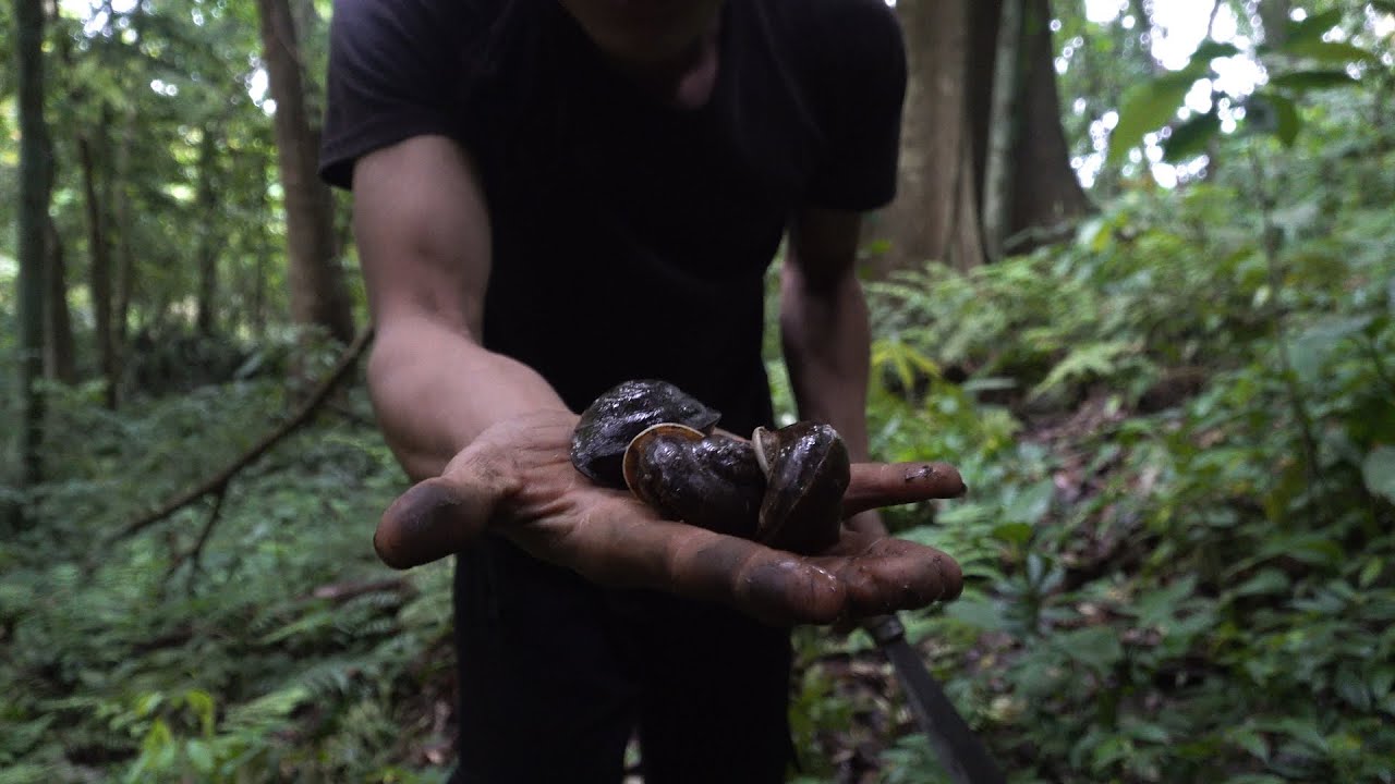 A lot of food can be obtained after the rain - 2 years of survival in the rainforest - episode 55