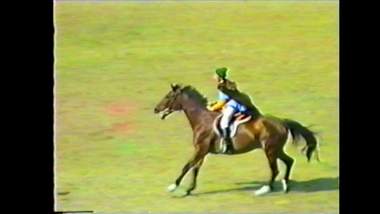 1988 Nagyvázsony