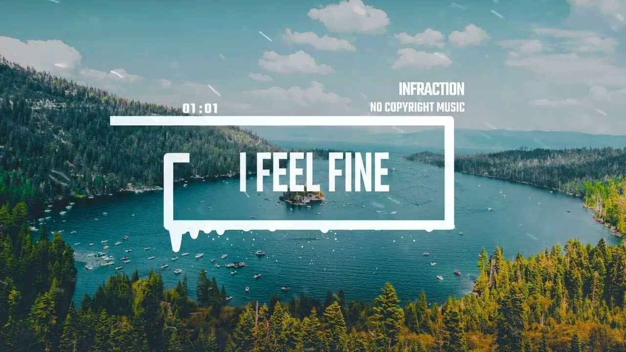 Upbeat Cooking Folk by Infraction [No Copyright Music] / I Feel Fine