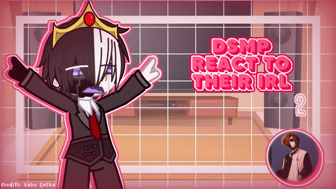 DSMP react to their IRL | 2 |