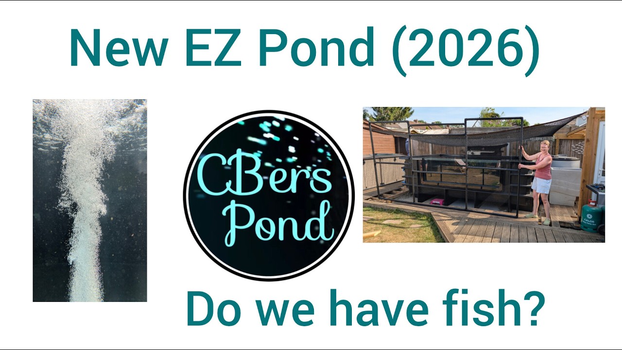 New EZ Pond 2026 - Part 7 - Do we have fish?
