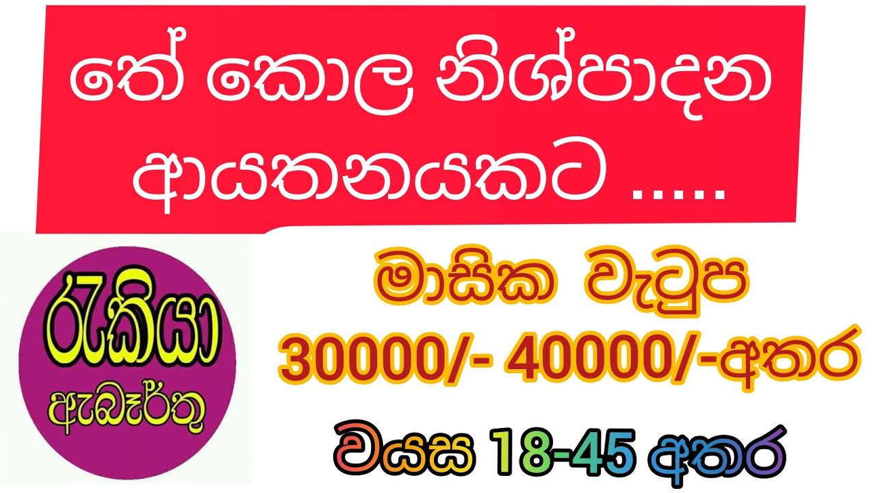 jobs vacancy in sri lanka 2021 | earn money | jobs news | today jobs updates | insurance top jobs