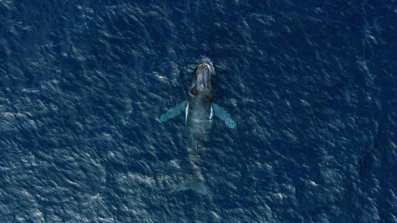 Watching Over the Earth’s Blue Heart