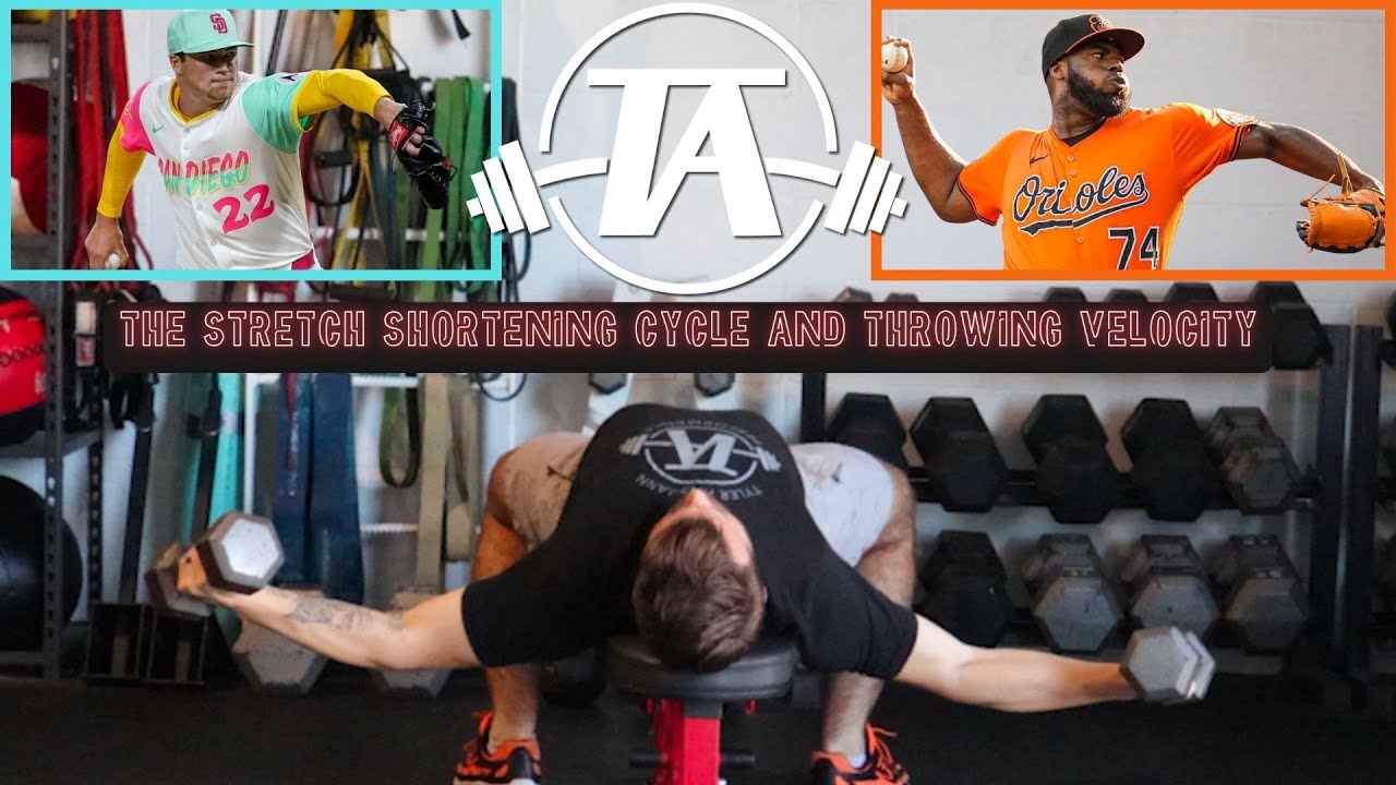 The Stretch Shortening Cycle and Throwing Velocity