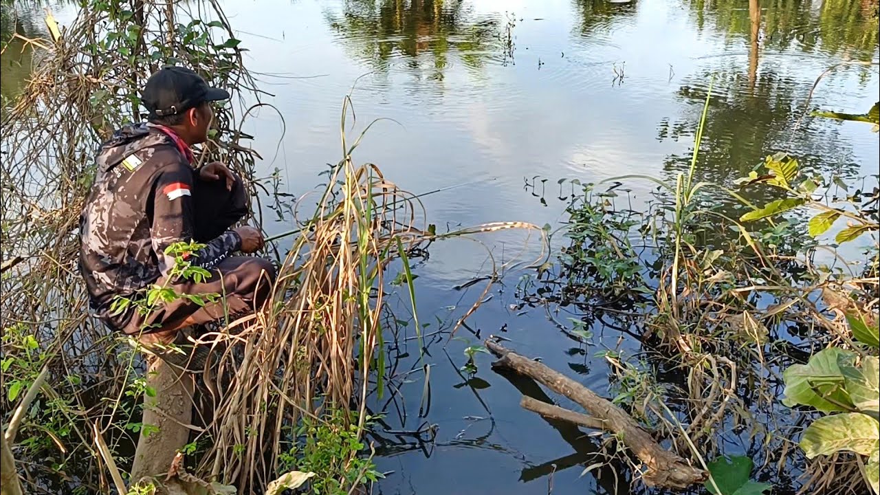 Asal Mancing sedang live sekarang!