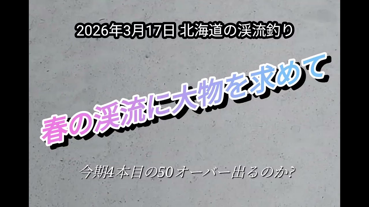 激太レインボートラウト50オーバーなるか⁉️