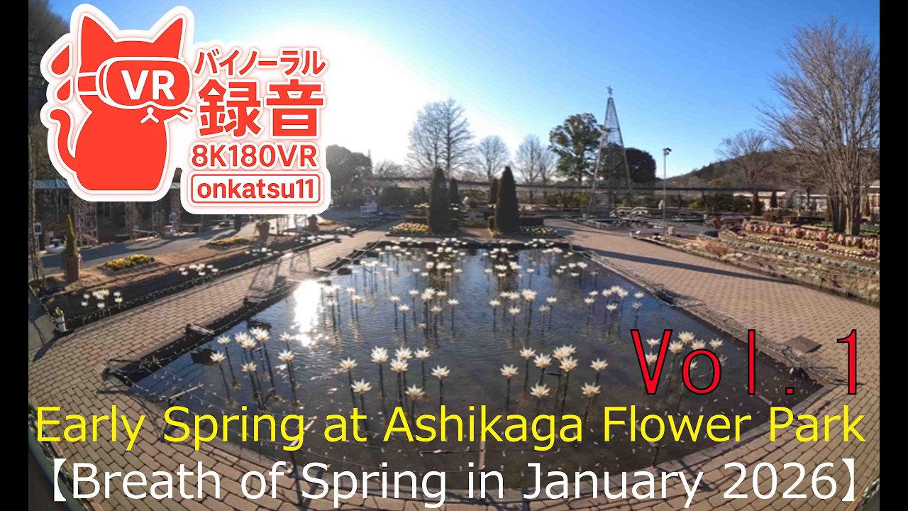 🌱[Early Spring at Ashikaga Flower Park—Breath of Spring in January 2026 (8K VR180)]Chapter One‼