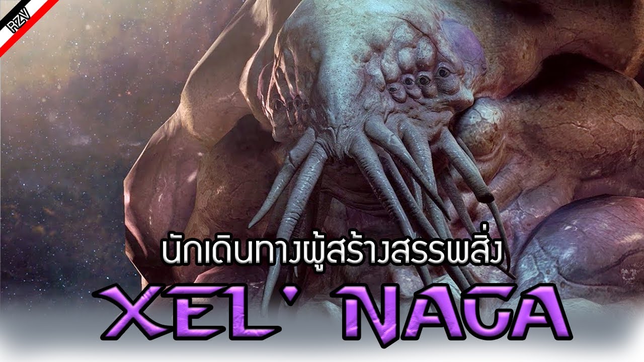 ประวัติของเหล่า Xel'naga  [ เรื่องเล่าจาก StarCraft ]
