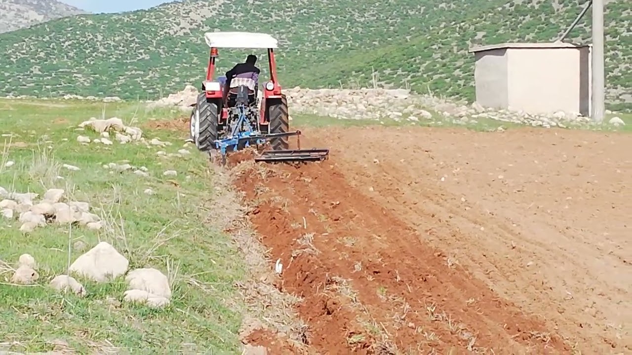 50 BEYGİR TRAKTÖR ve PULLUK SÜRÜMÜ