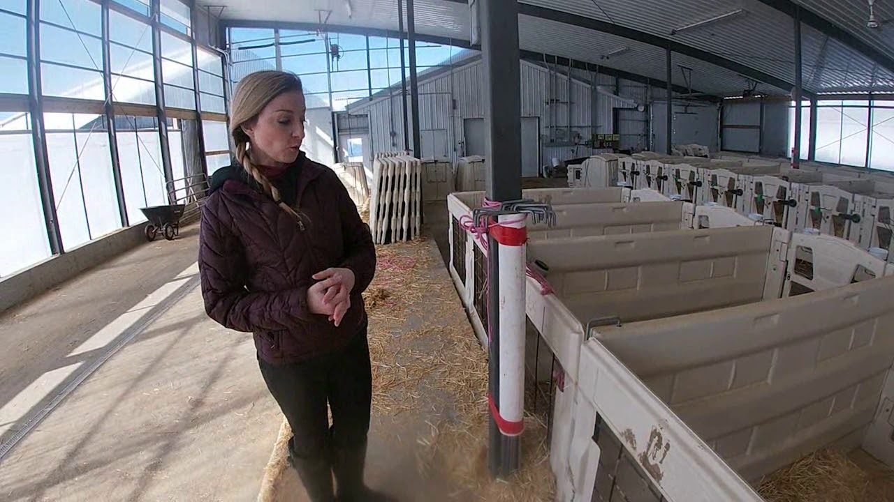 Starting Strong:  A Day in the Life of a Calf Raiser - Meet Heidi Fischer (March 2019)