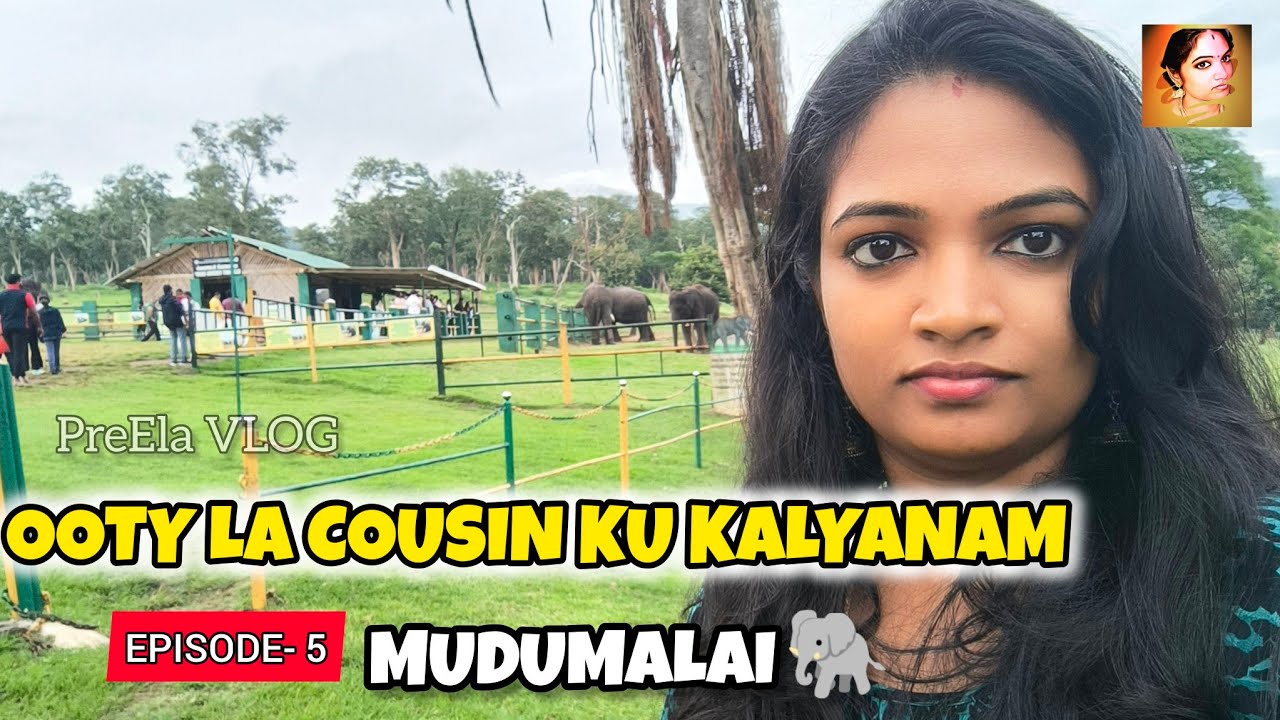 OOTY la Cousin Wedding Ep-5:Mudumalai Sightseeing