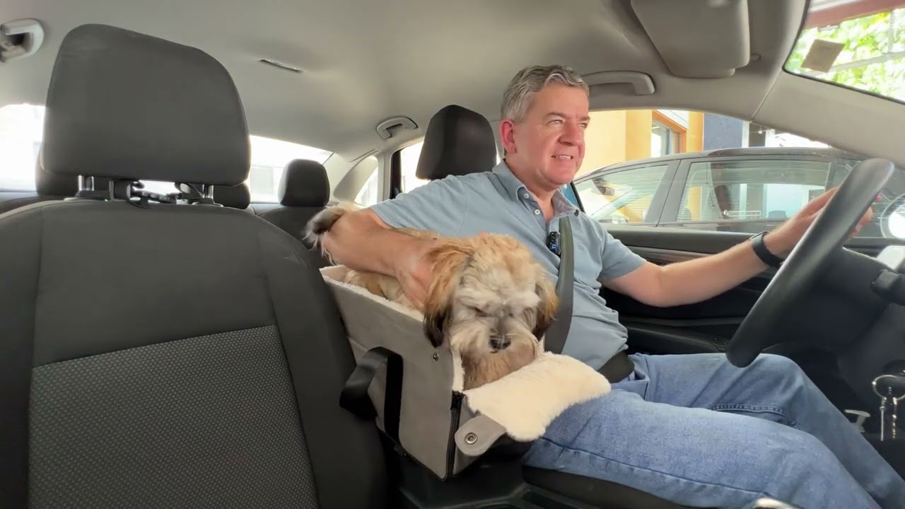 🔥 Dog Car Seat Booster Cage Unboxing and Review! ✅  #productreview #unboxing