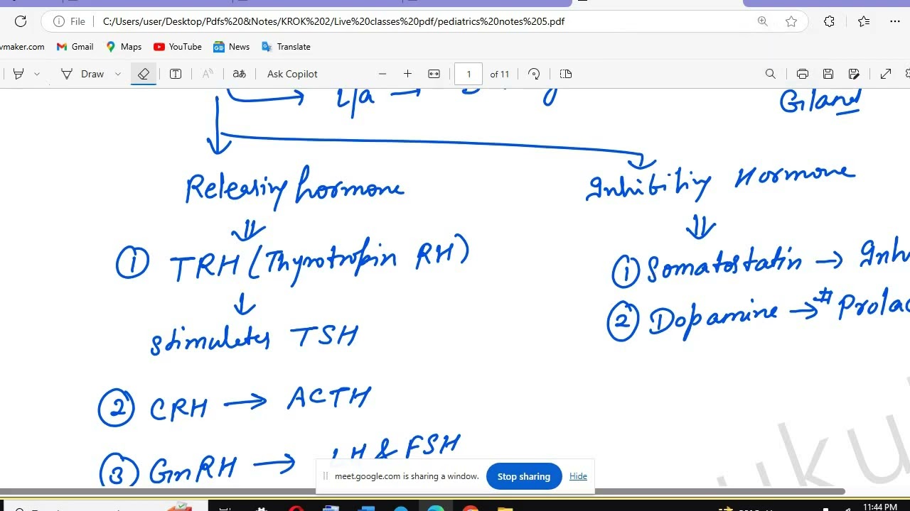 Endocrine Screen Recording 11 6 2024 12 59 14 AM