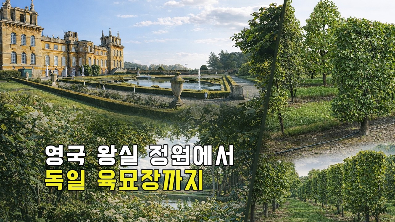 영국·독일 정원 인사이트 3곳 Blenheim Palace | Kensington Gardens | Lorenz von Ehren