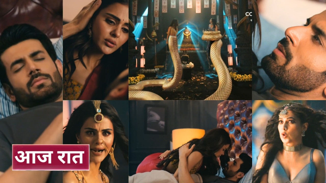 Naagin 7 21st February 2026 - Naagin or aryaman aaye kareeb
