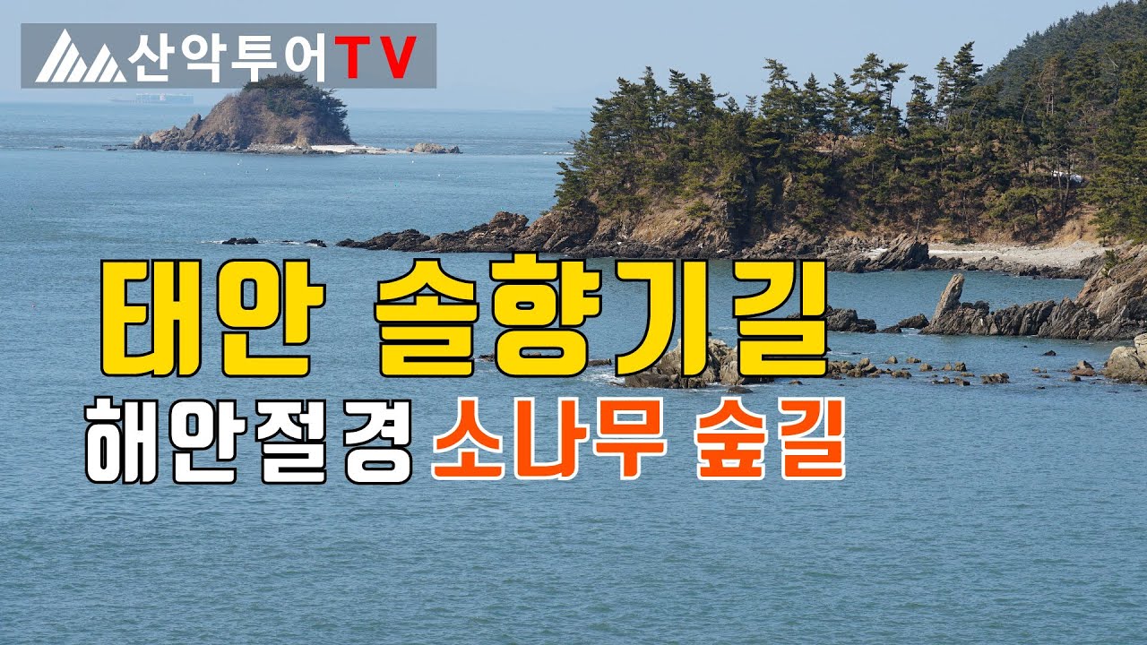 태안 솔향기길의 해안절경 소나무 숲길 트레킹 Taean Solhyanggigil Trail