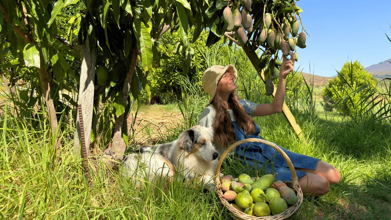Never thought we would be doing this! - Looking after 100+ fruit trees in our 20's
