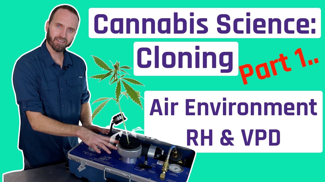 Relative Humidity and VPD - Part 1