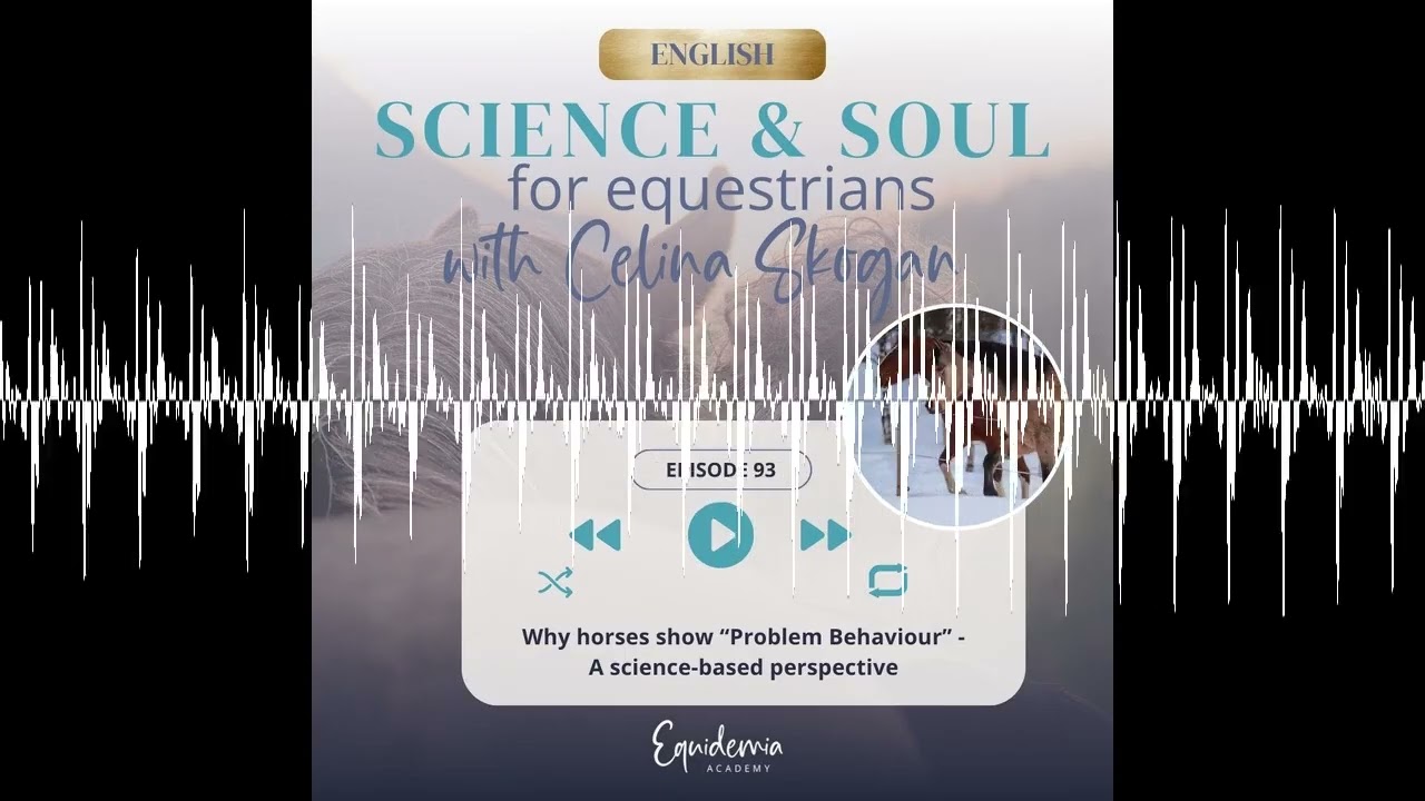 Why Horses Show “Problem Behaviour” -  A Science-Based Perspective - Horsefriends international