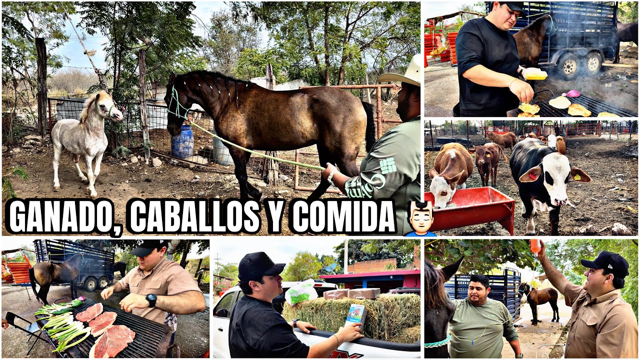 TARDE DE CARNE ASADA EN LAS CABALLERIZAS 🥩 🐴 💆🏻‍♂️… 
