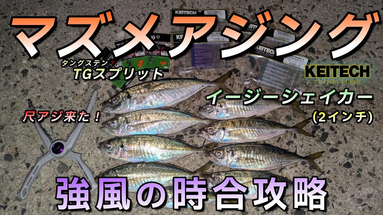 尺アジが釣れる簡単な釣り方で冬の時合攻略、強風時にはスプリットショットリグがおすすめ！【アジング】