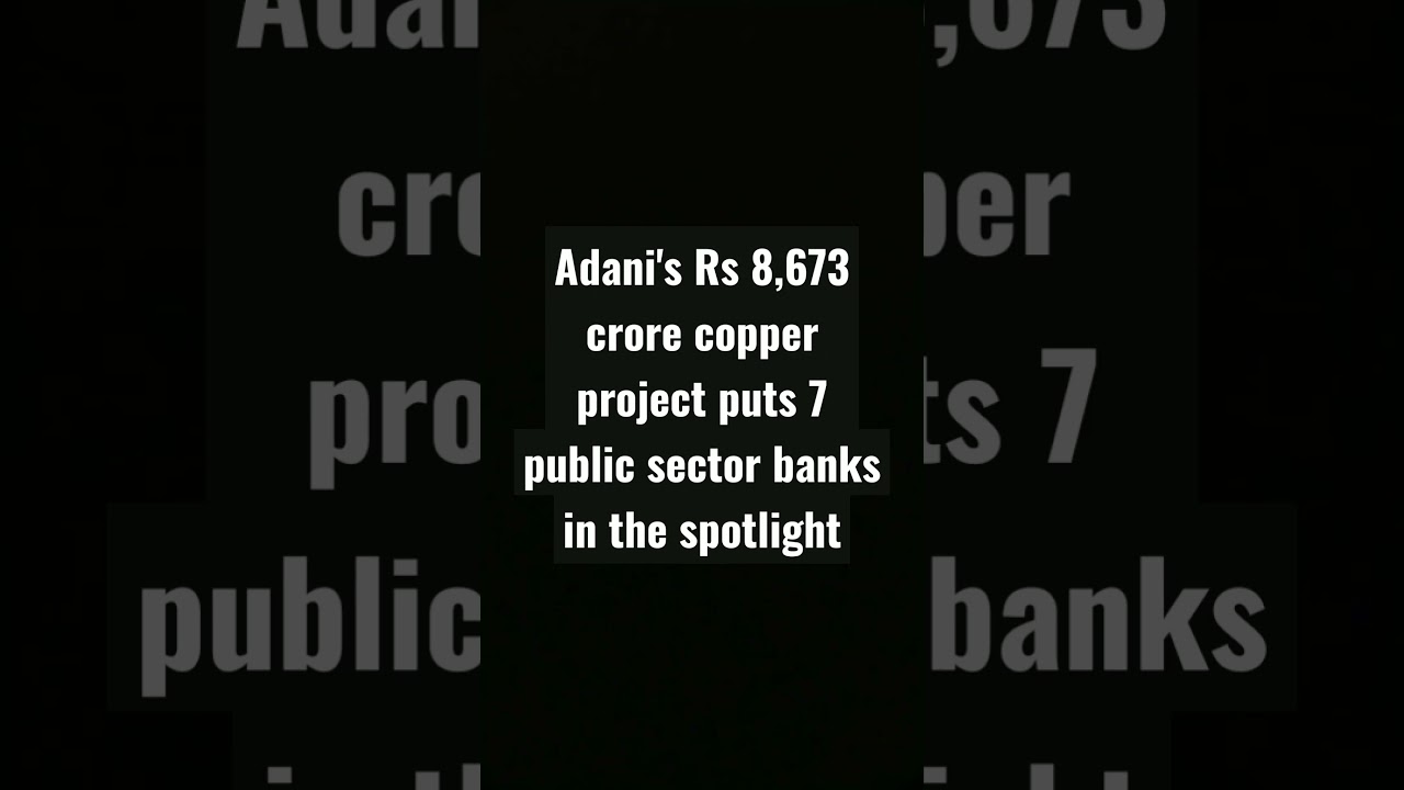Adani's Rs 8,673 crore copper project puts 7 public sector banks in the spotlight