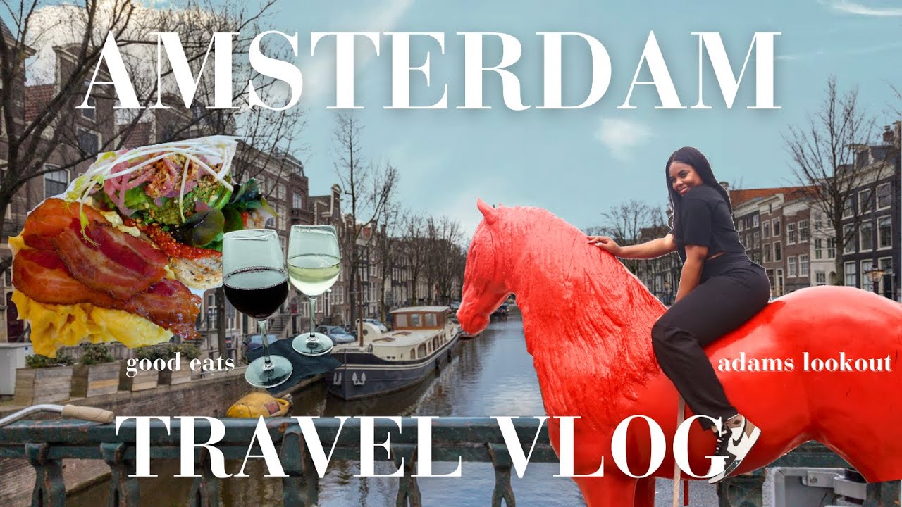 Amsterdam in a Day: Paris to Amsterdam Day Trip Vlog 🇳🇱✨