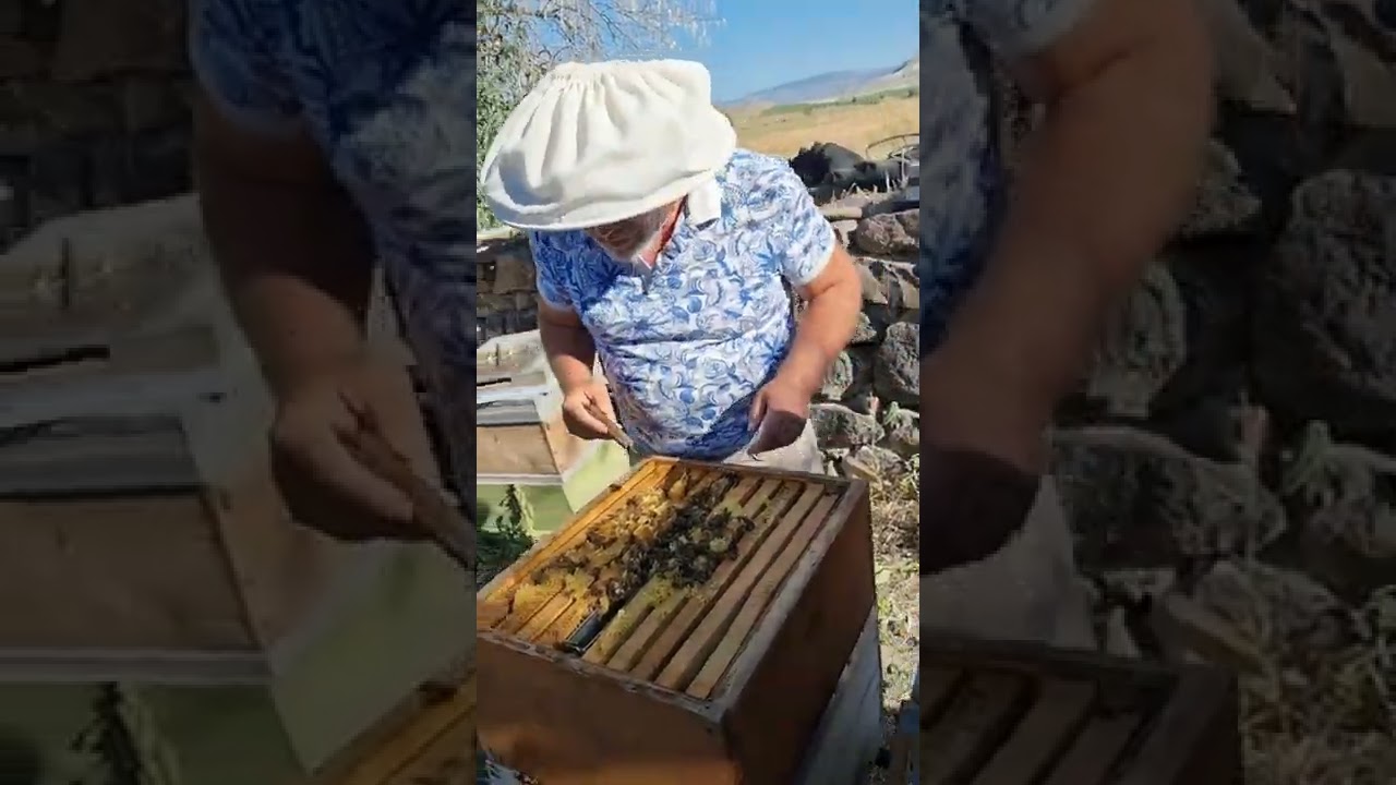 HACI ABİMİN BAL HASADINI YAPIYORUZ...