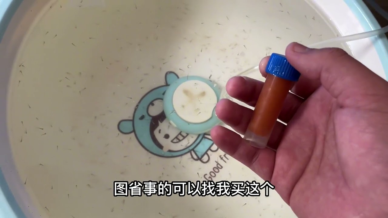 鱼苗孵化几天后可以喂食，喂什么，喂多少