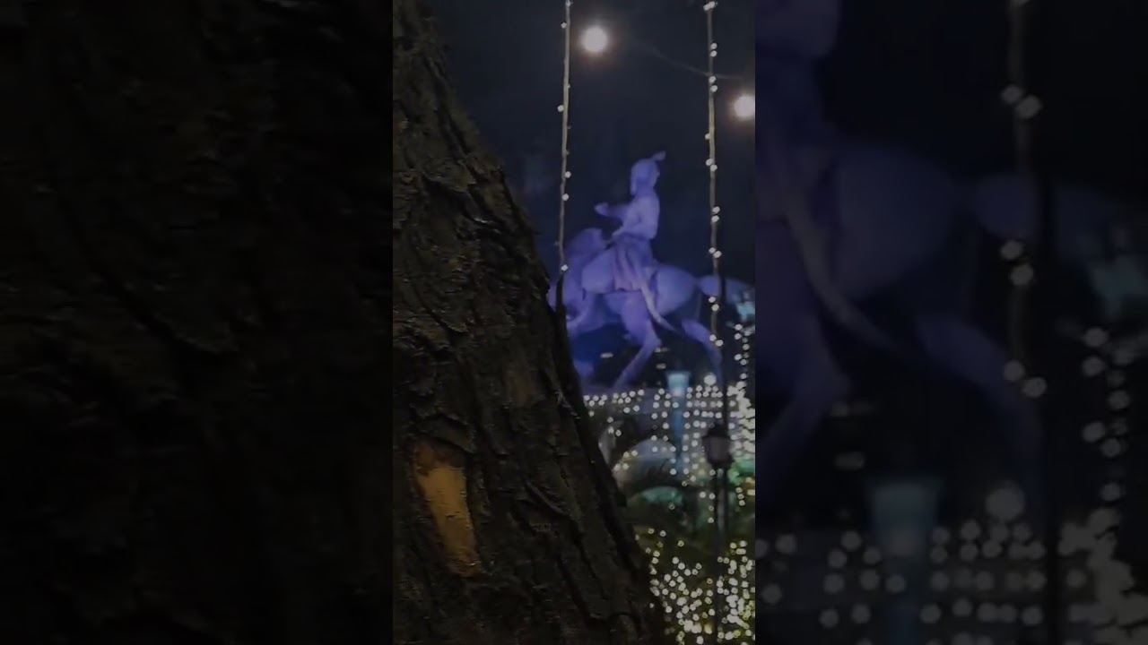 Lost in the magic of a beautifully lit night. 