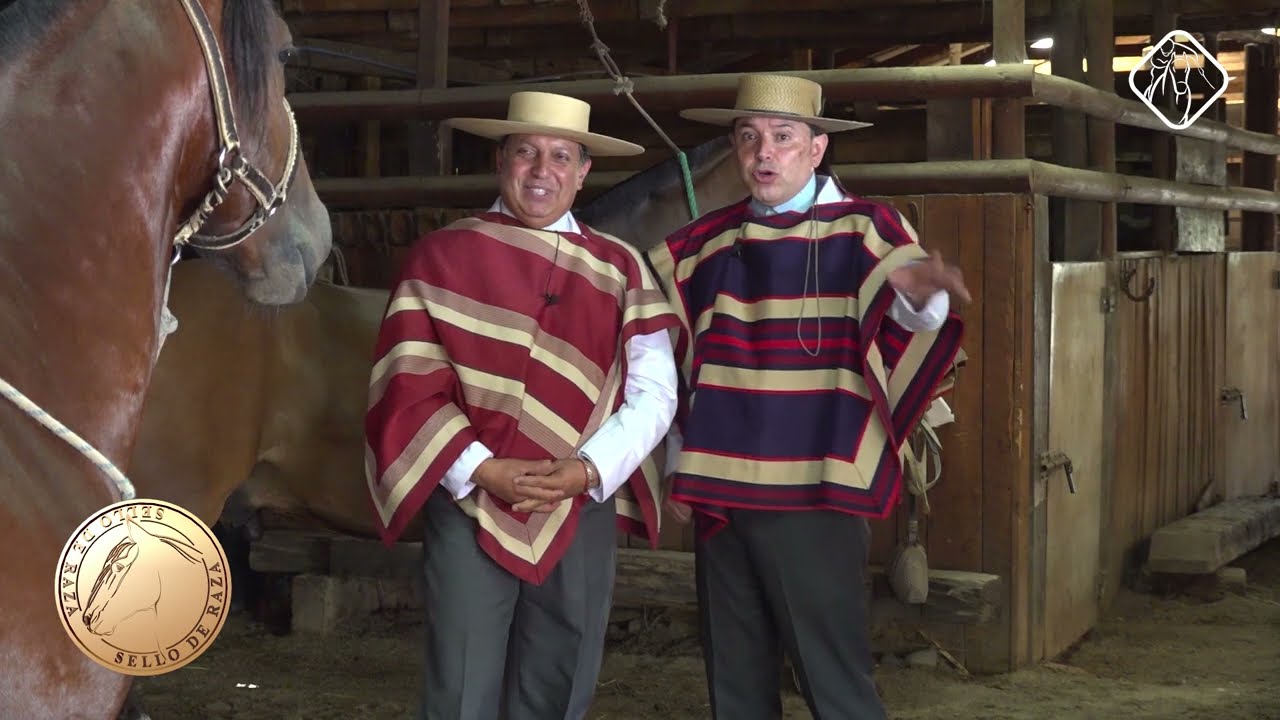Sello de Raza Cap603 Criadero La Pirgua San Vicente TT