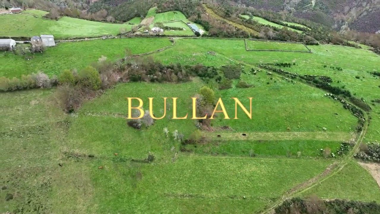 BULLAN (BECERREA ) LU.