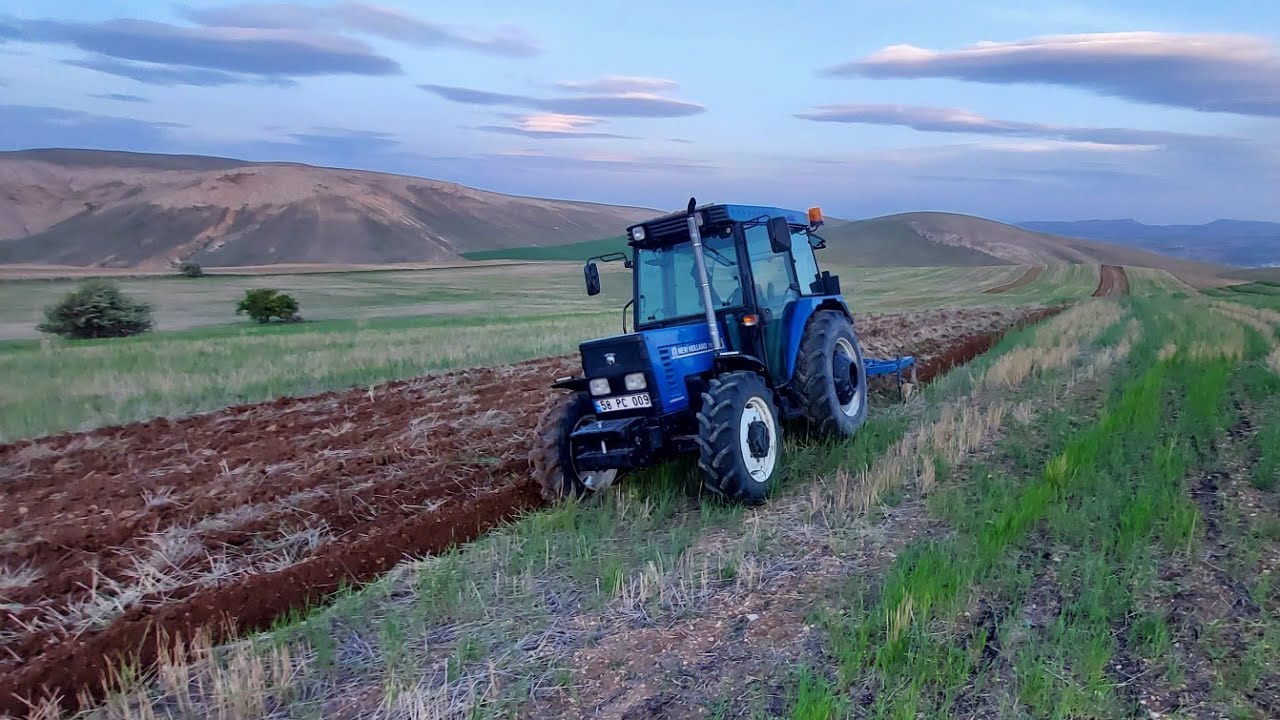 Newholland 75-56s  4 lü 13 inç ünlü pulluk ile nadas #7556s #cnh #ünlüpulluk #farming #çiftçi #tarla