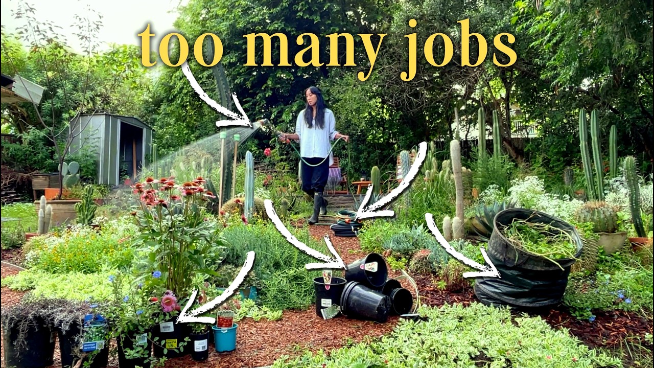Handling Garden Chaos as a Serial &ldquo;I Can Do It All&rdquo; Person