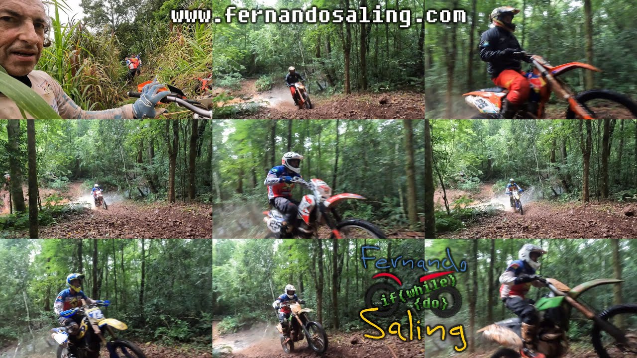 Trilha com Formigos da Trilha  - Santa Rosa - RS - 10/01/2026