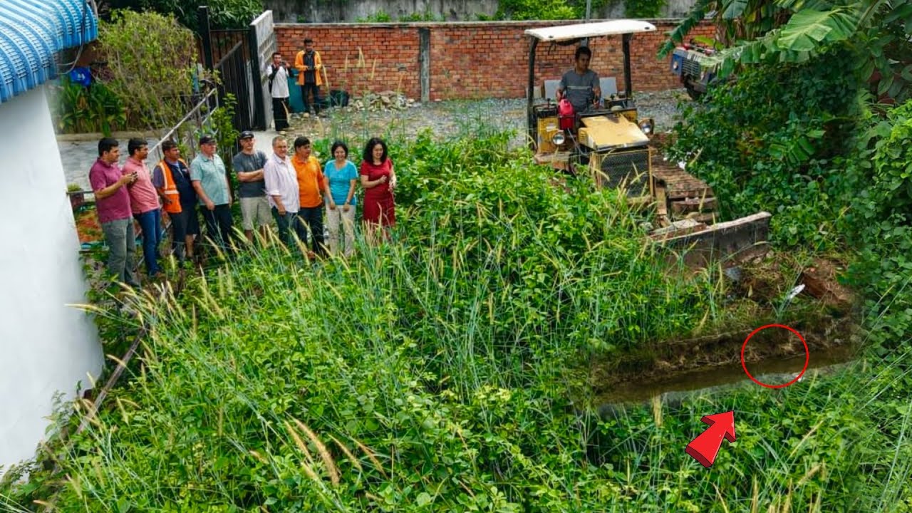 Great new project!! Complete 100% clearing, pushing soil, garbage in Forest the houses by Bulldozer