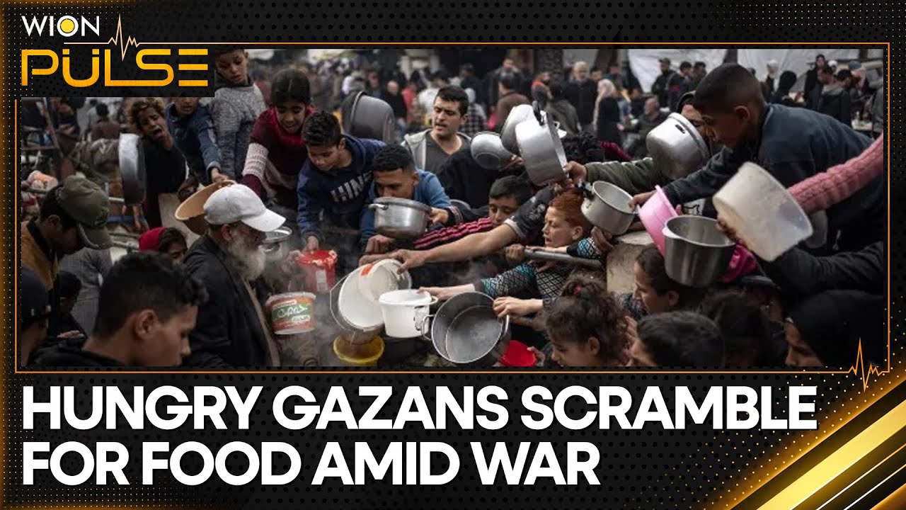 Gaza Food Crisis: Soaring Food Prices Deepen Gazans' Plight | WION Pulse | World News