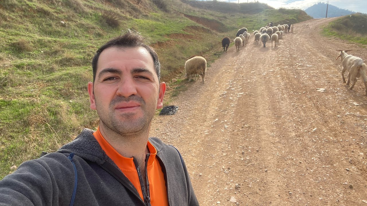 Memurluğu Bırakıp Hayvancılık Yapmayı Düşünenler Buraya 📖🙋🏻‍♂️