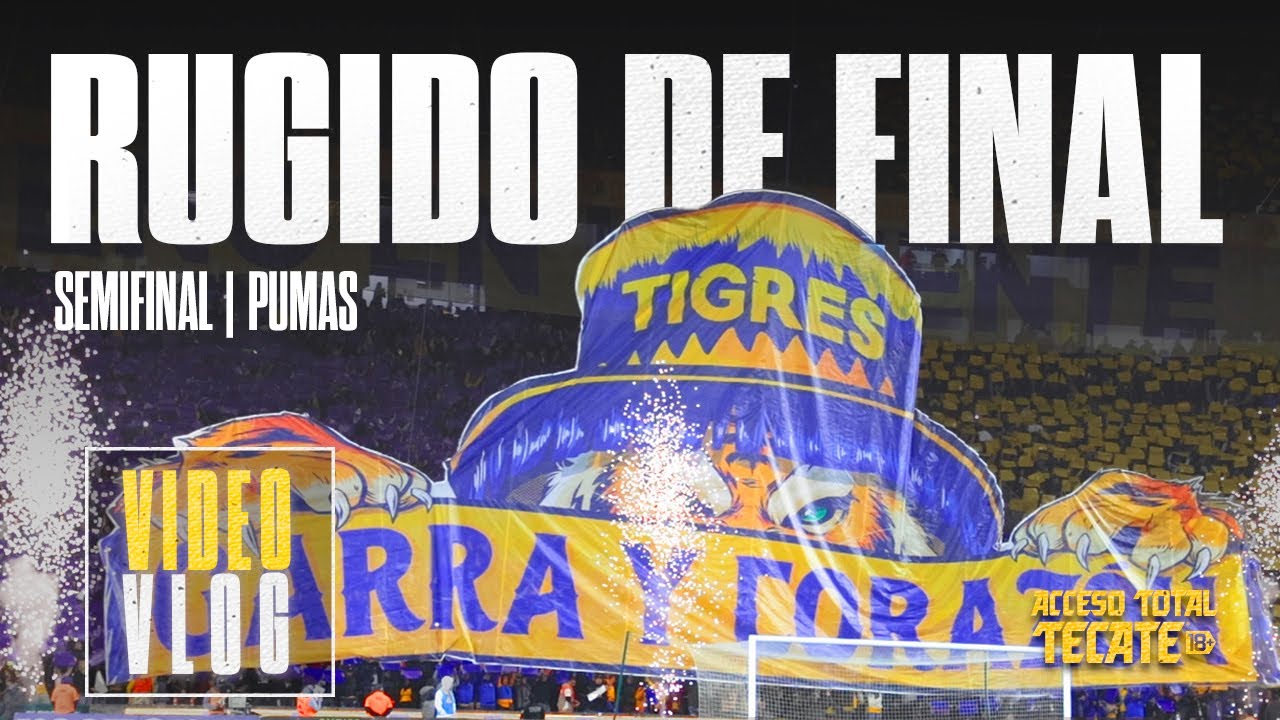 🎥 𝗩𝗹𝗼𝗴 𝗦𝗲𝗺𝗶𝗳𝗶𝗻𝗮𝗹 | ¡Rugido Finalista! 💛👊🏼