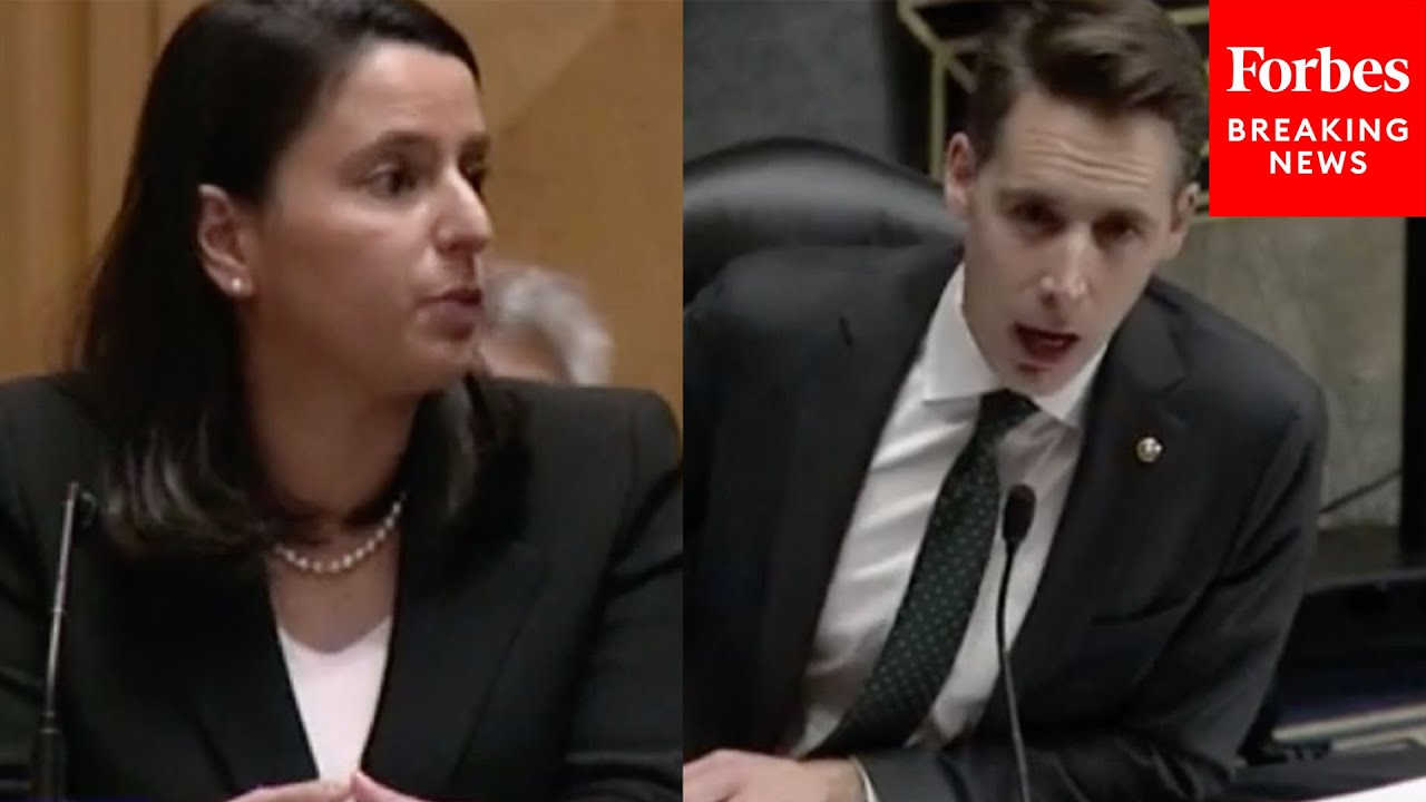 'Do You Think Voter ID Requirements Are Illegal': Josh Hawley Presses Biden Nominee On Voting Law