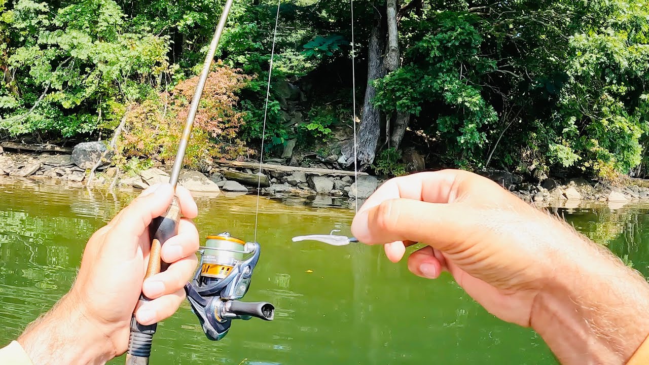4 Hours of RAW and UNCUT Ultralight Fishing with Gulp Minnows | Chilhowee Lake