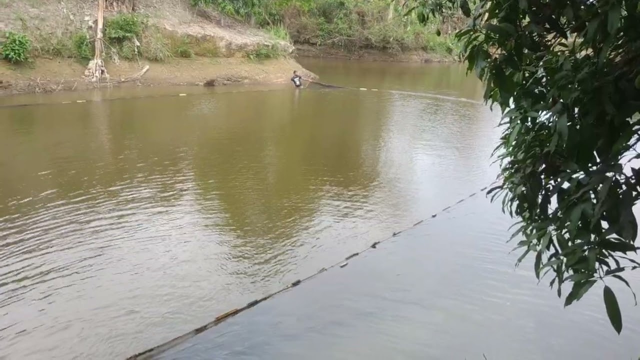 Catching Fish In The Pond || Part-1.1