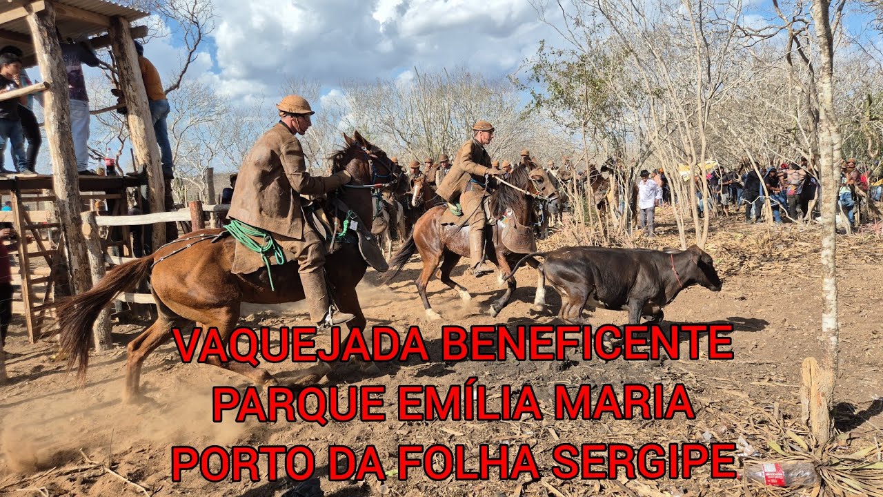Vaquejada de pega de boi no mato beneficente no Parque Emília Maria Porto da Folha Sergipe. 