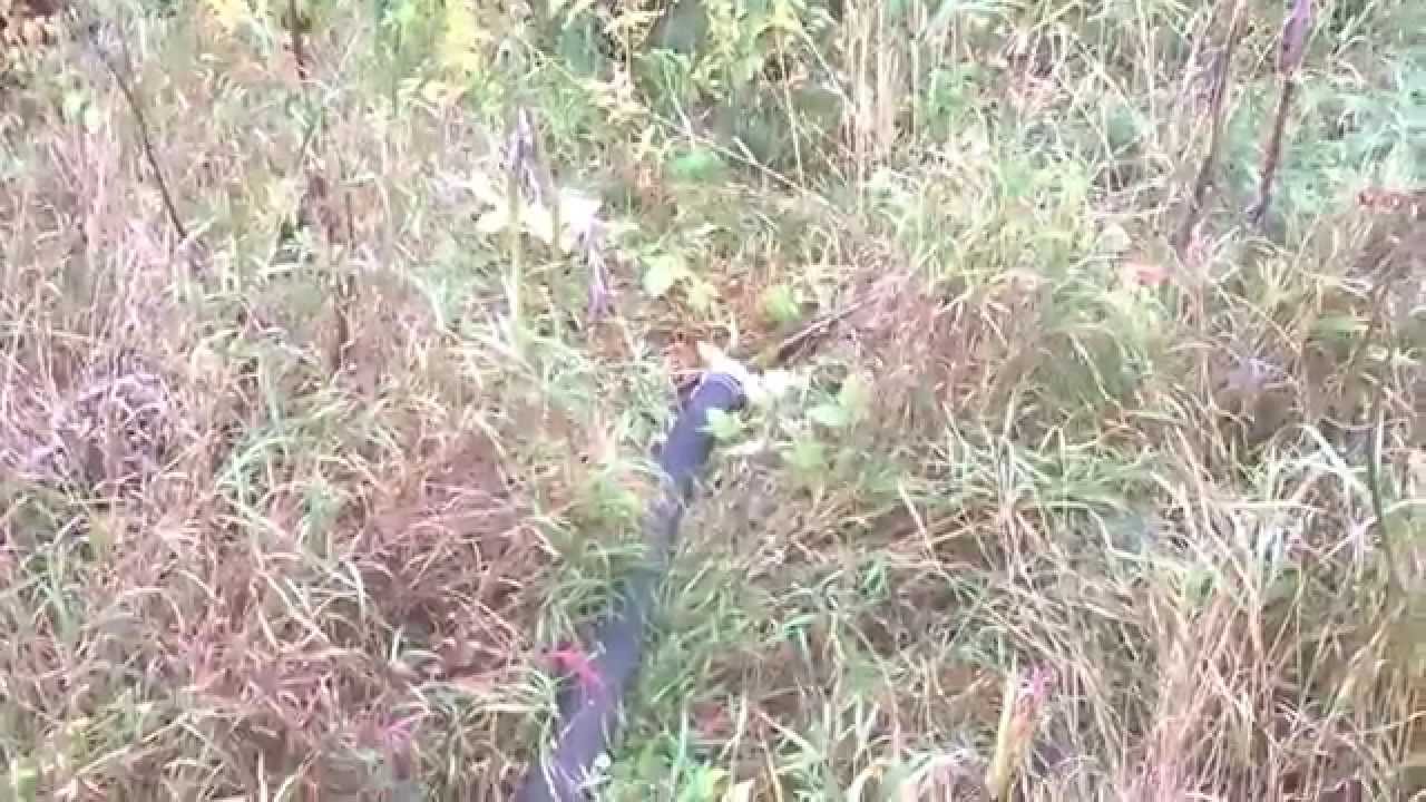 Наливаем воду в бочку трактором.Вакуум.