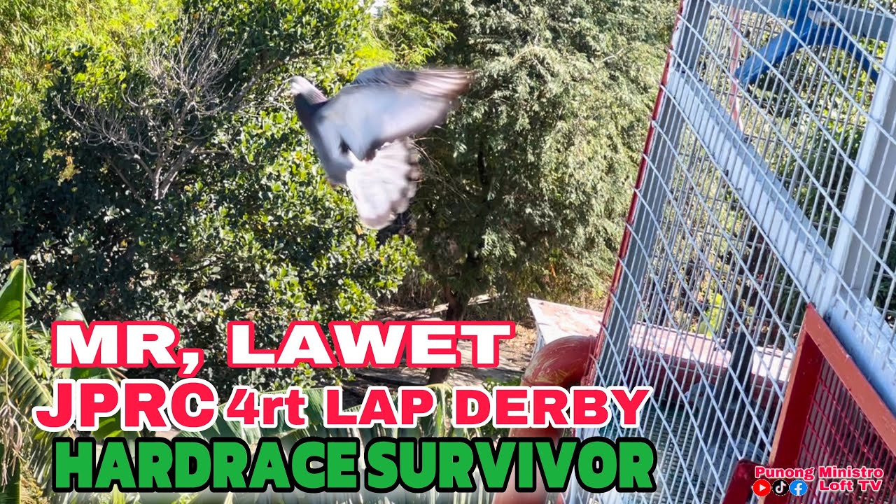 EP624 - JPRC 4rt LAP SOUTH DERBY 350km BALATAN CAM SUR HARD RACE!