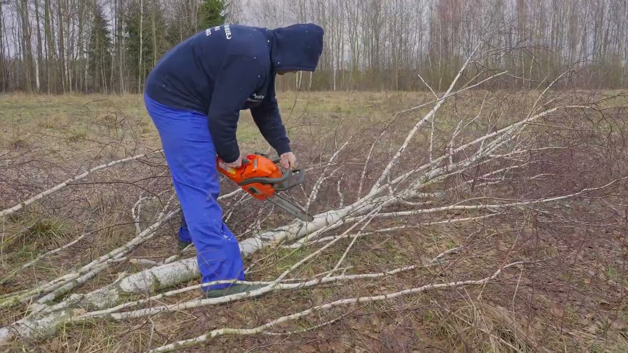Plan Jarka na zagospodarowanie pola Czy Andrzejowi spodoba się pomysł brata Rolnicy z Podlasia Pluty