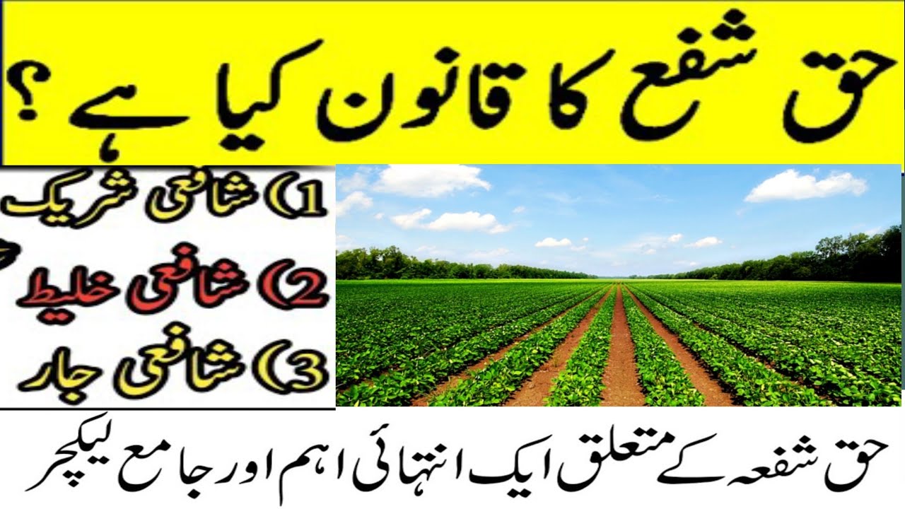 What is right of Pre emption I Demands of Pre-emption I Kp Preemption act, 1987 I حق شفعہ