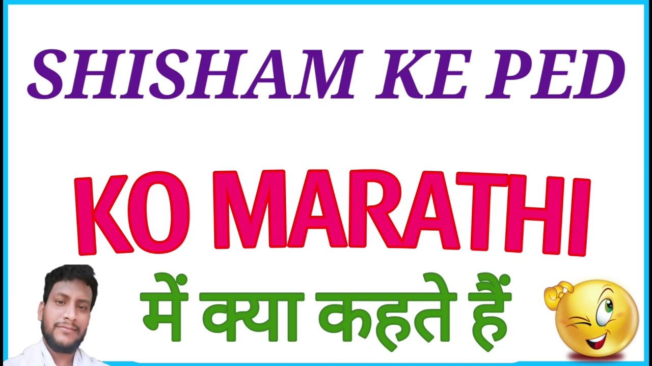 SHISHAM KE PED KO MARATHI MEIN KYA KAHATE HAIN | Shisham ke ped ka Marathi kya hota hai | Shisham ke