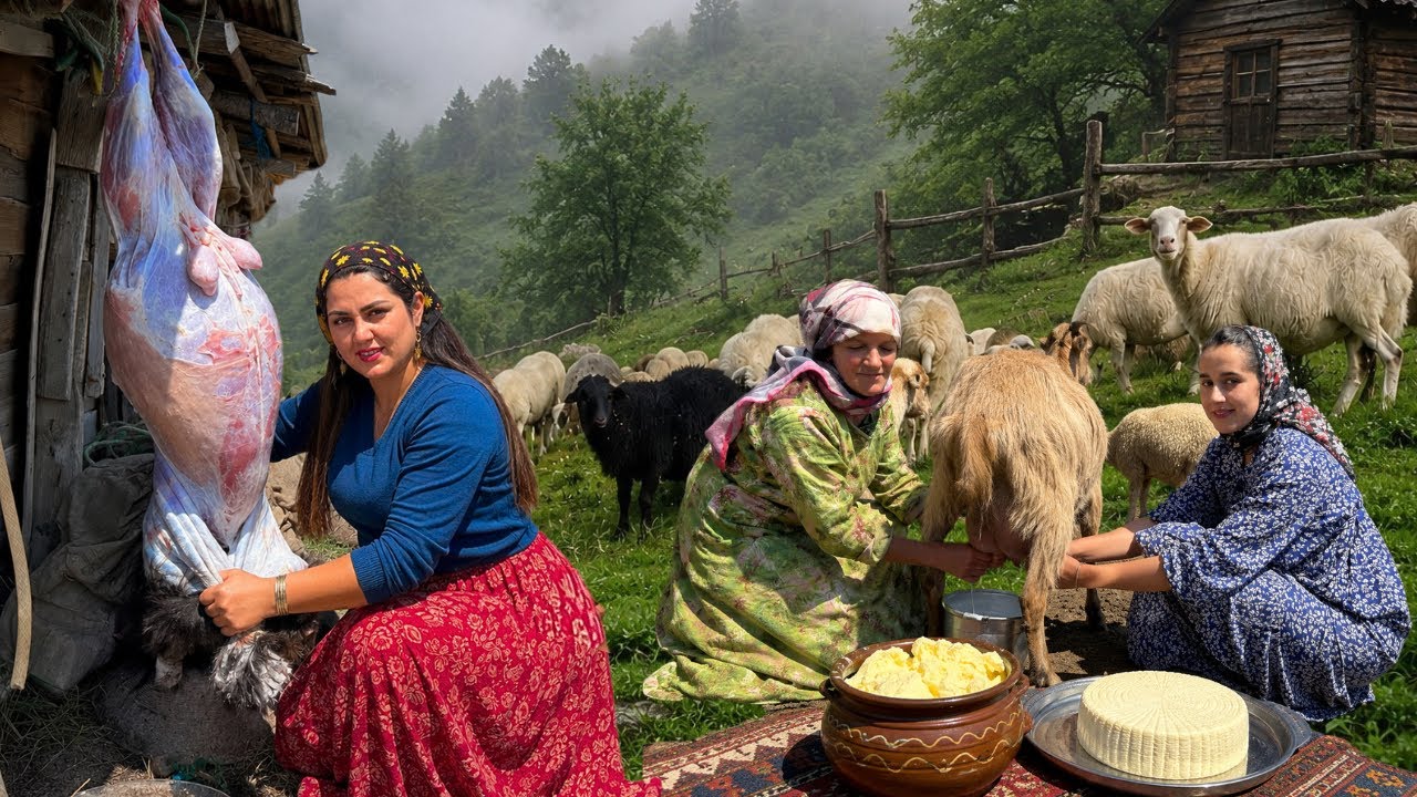 Shepherd&rsquo;s Life of Iran :Nomadic Life, Goat Stew & Traditions Cheese 🔥🏔️